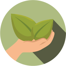 Ecologique